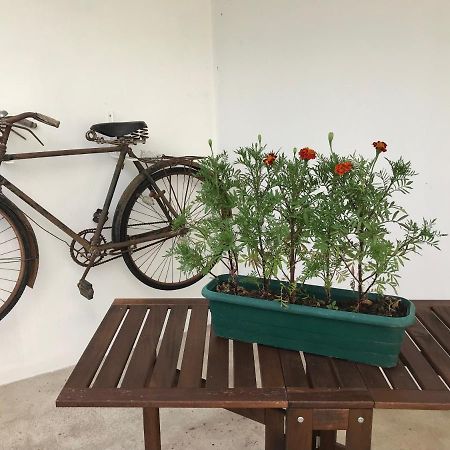 Tolosa Casa Do Ferreiro 빌라 외부 사진
